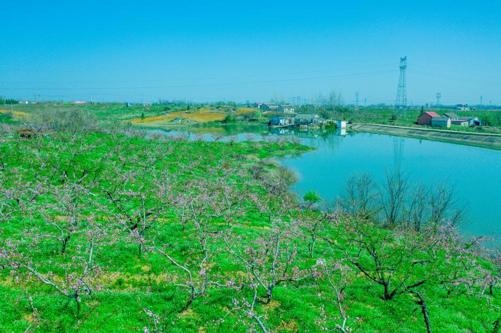 江淮果嶺該線路包括健園生態園,平崗果嶺,桃花仙谷,抹茶小鎮民宿,符橋